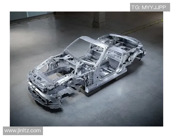 伐木者与白帽之间的较量探讨技术与道德的边界与冲突