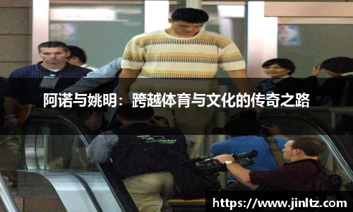 米兰体育官网